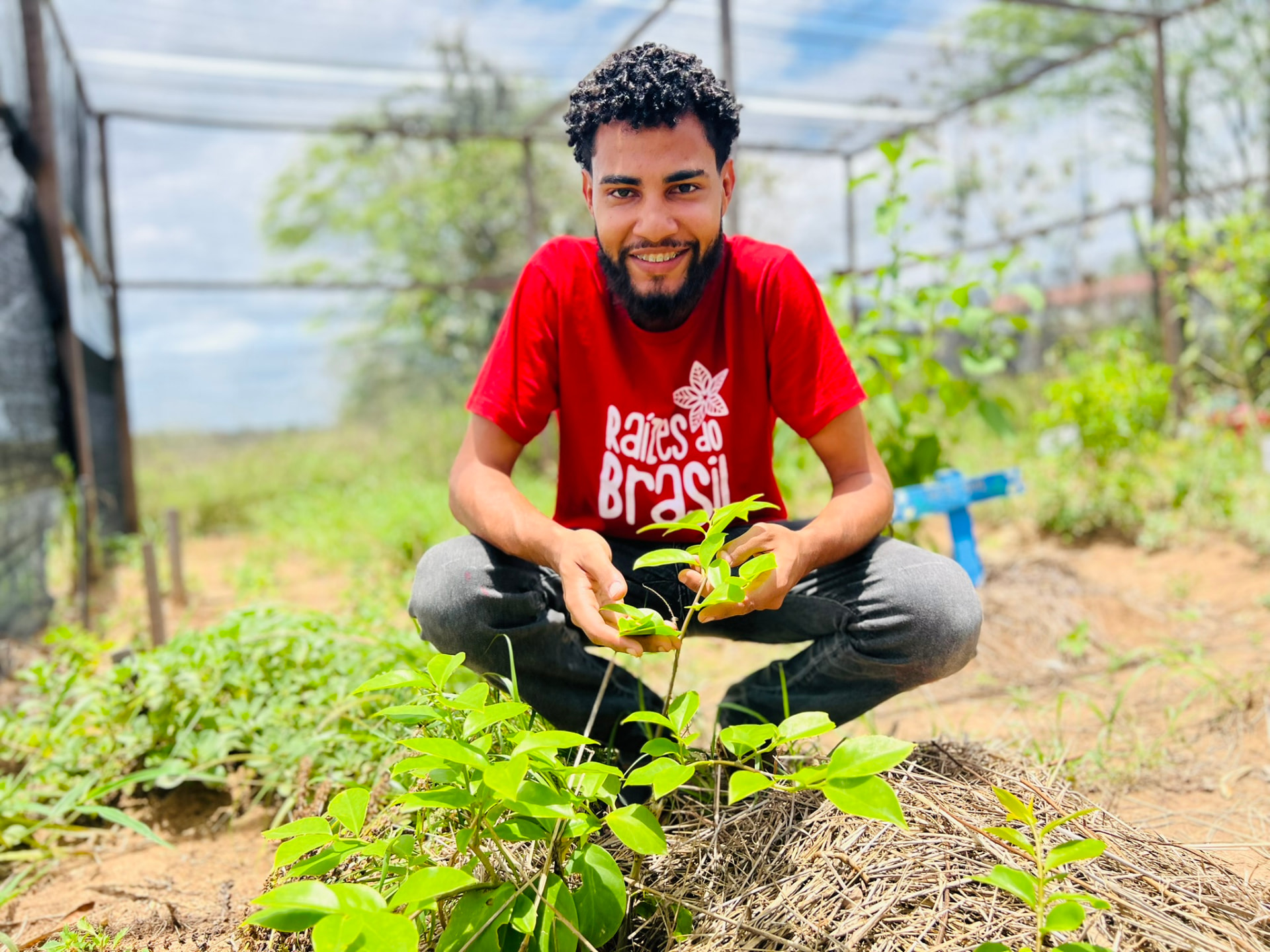 Pesquisadores e estudantes interagindo com plantas no Horto